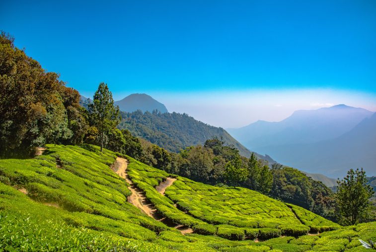 Places to visit in Kerala
